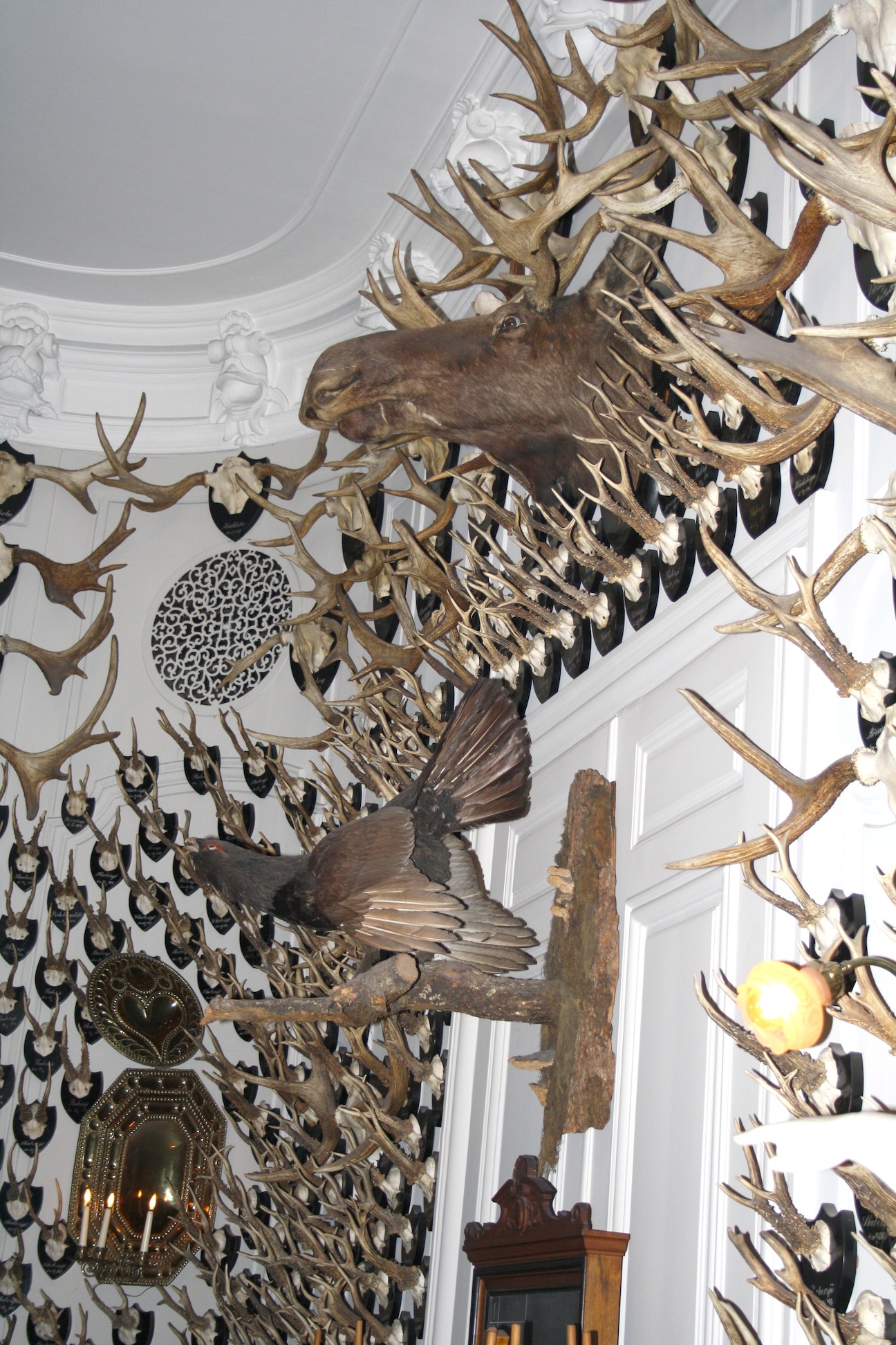 Föglö Hembygdsförenings besök på Slottet i Stockholm 23.1.2010.